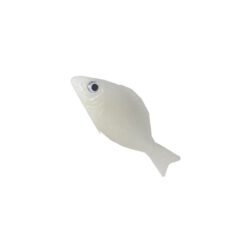 fish-for-octopus