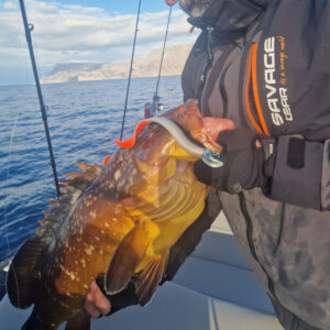 Τεχνική Off Shore Boat Casting