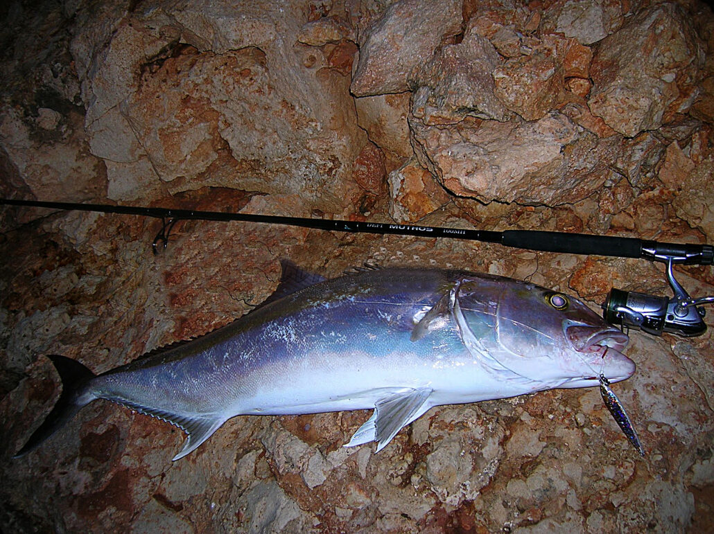 Τεχνική Shore Jigging