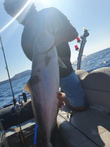 Τεχνική Vertical - Light Jigging