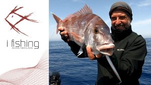 Jig... Xesta Nitro Japan