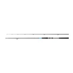 Καλάμι Shimano Bassterra XT Shore Jigging